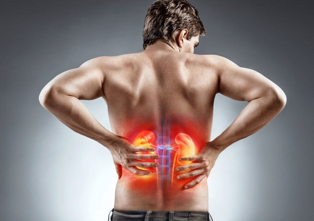 В чем разница между мышечной и почечной болью